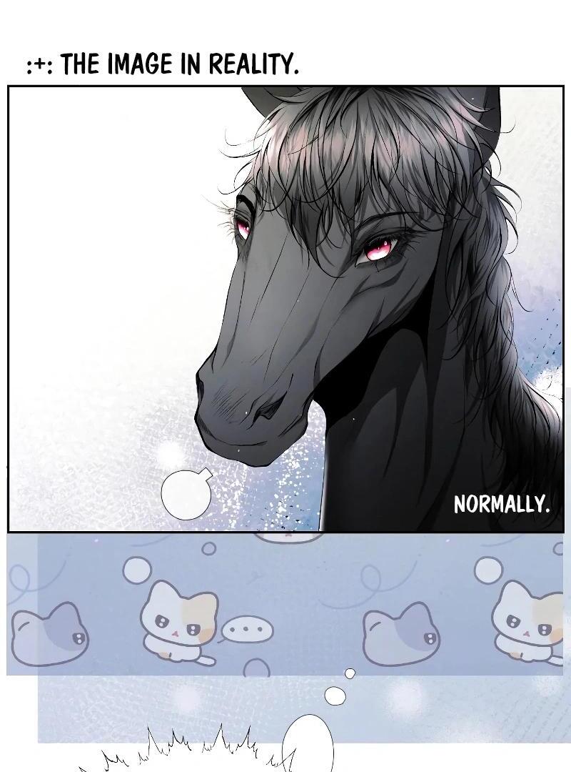 74288326 800 1080 94483